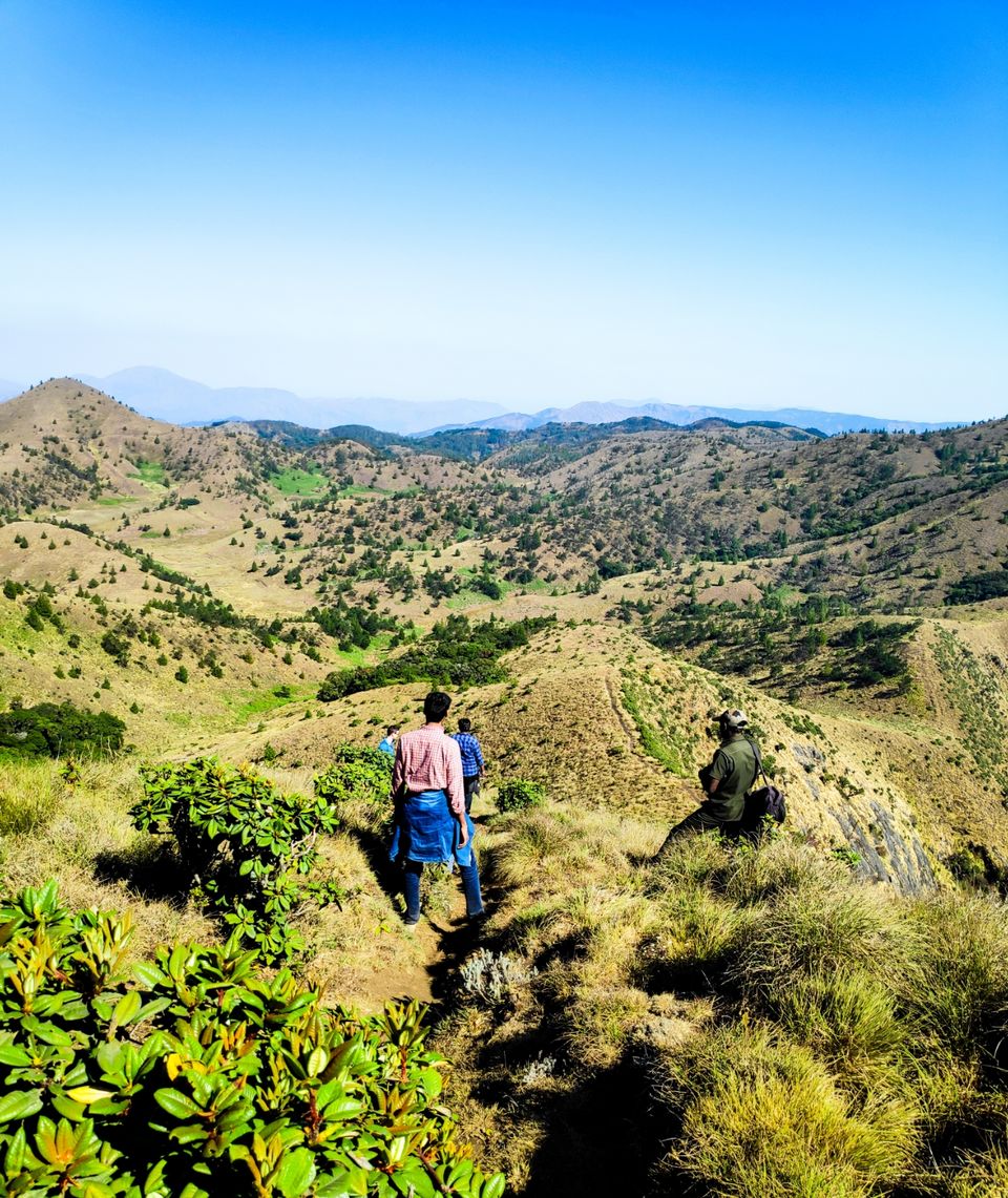 Photo of Trek to Meesapulimala: The second highest peak in South India by Shruthi Loganathan