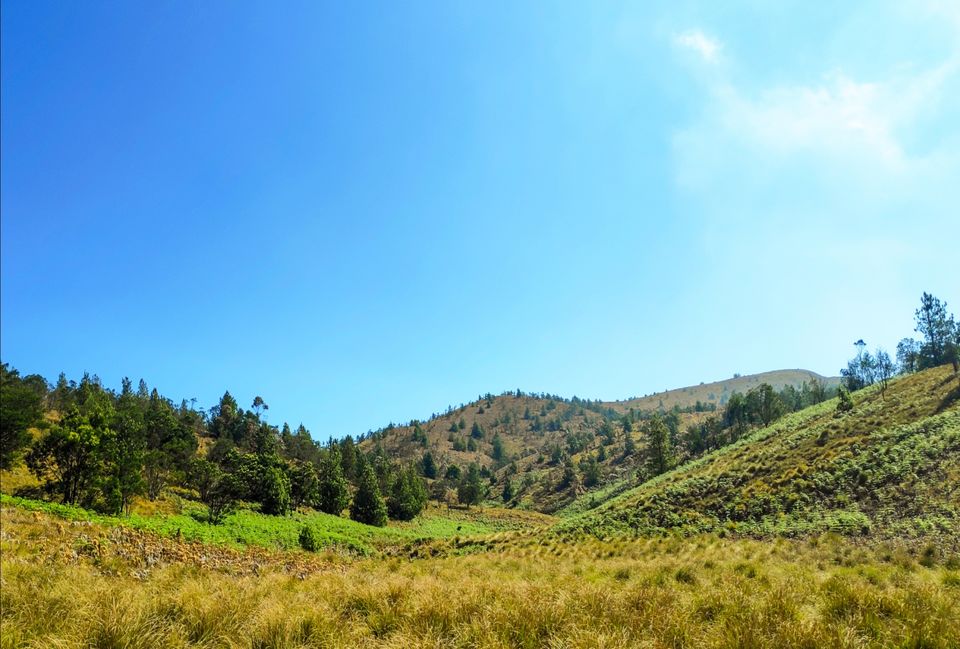 Photo of Trek to Meesapulimala: The second highest peak in South India by Shruthi Loganathan