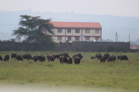 Photo of Onwards to Mount Kenya and ruminations! 4/11 by anuj