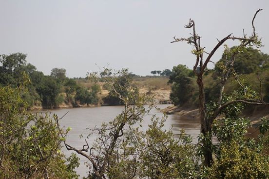 Photo of Dining with Lions and Leopards - Maasai Mara 4/12 by anuj
