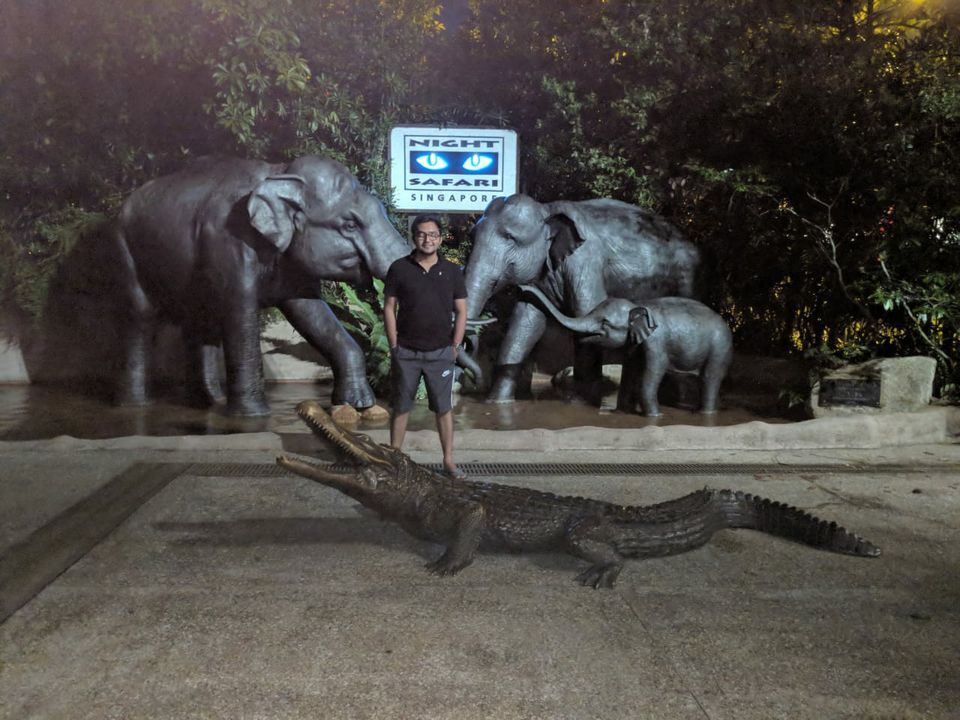 Photo of Mandai Lake Road, Night Safari, Singapore by Ayushi Gupta