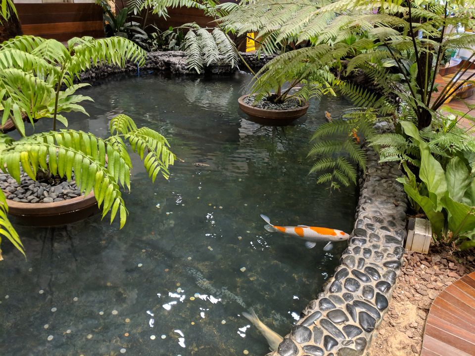 Photo of Airport Boulevard, Changi Airport Singapore (SIN), Singapore by Ayushi Gupta