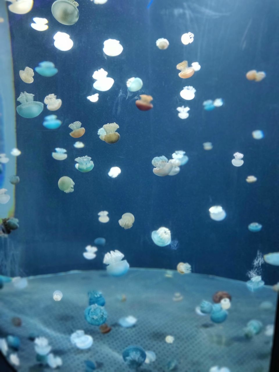 Photo of Sentosa Gateway, S.E.A. Aquarium, Sentosa Island, Singapore by Ayushi Gupta