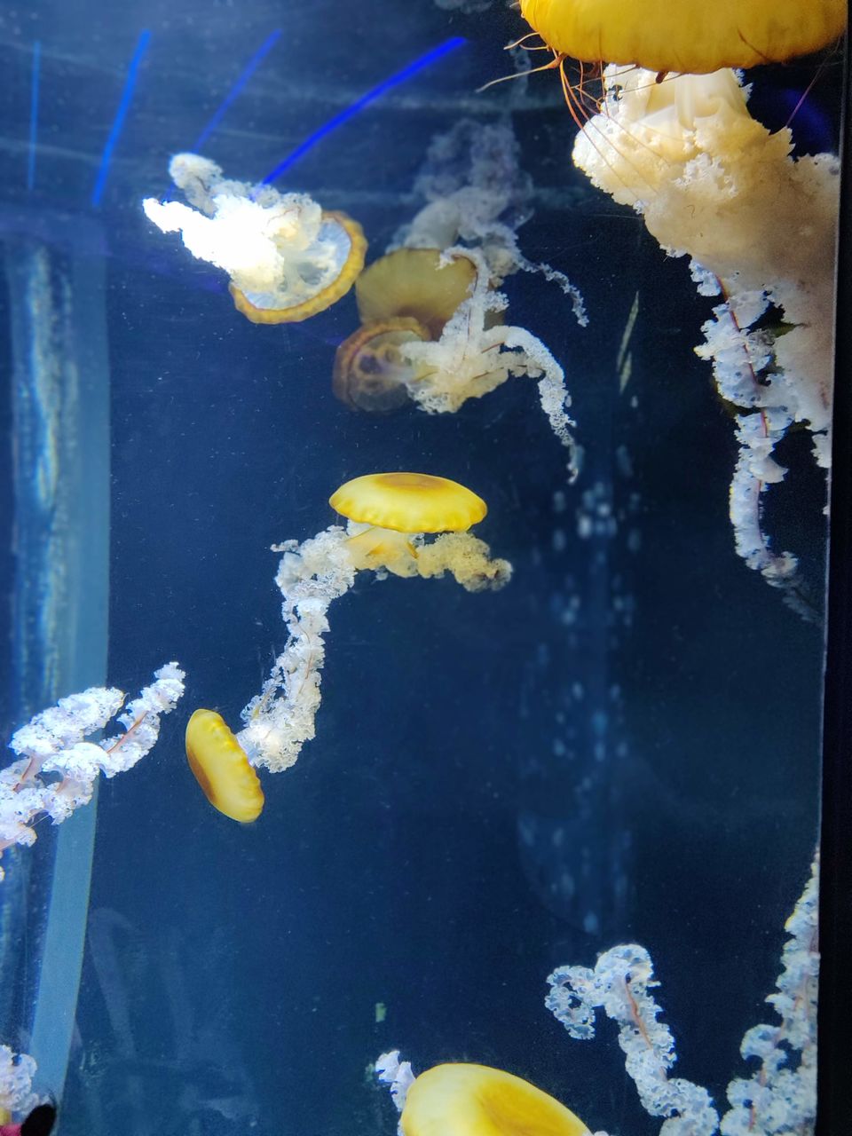Photo of Sentosa Gateway, S.E.A. Aquarium, Sentosa Island, Singapore by Ayushi Gupta