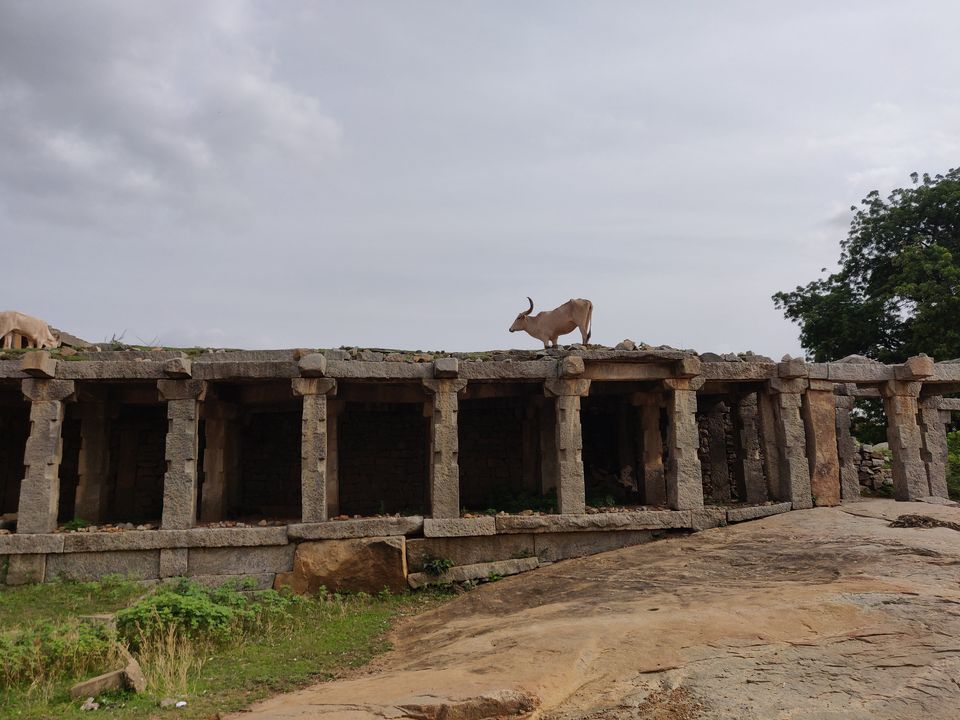 Photo of Ruin yourself in Hampi for a weekend !!! by Ayushi Gupta