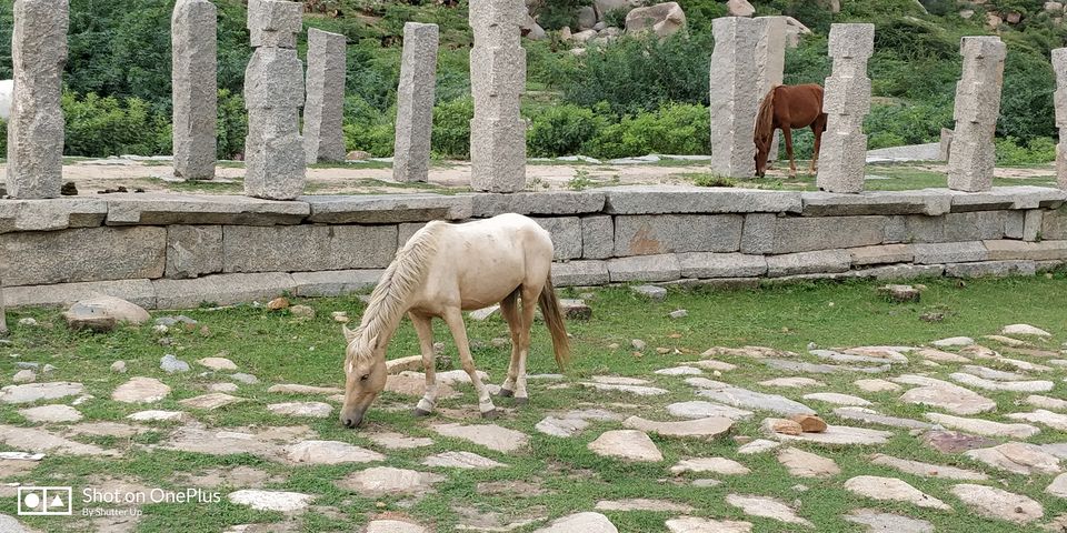 Photo of Ruin yourself in Hampi for a weekend !!! by Ayushi Gupta