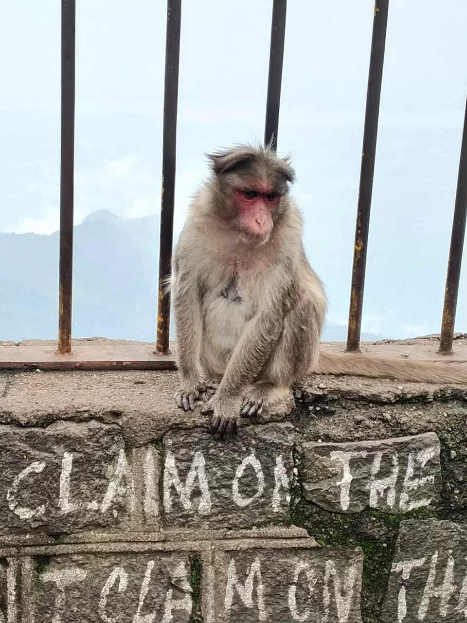 Photo of Vanakkam Kodaikanal by Bhaskar Anand