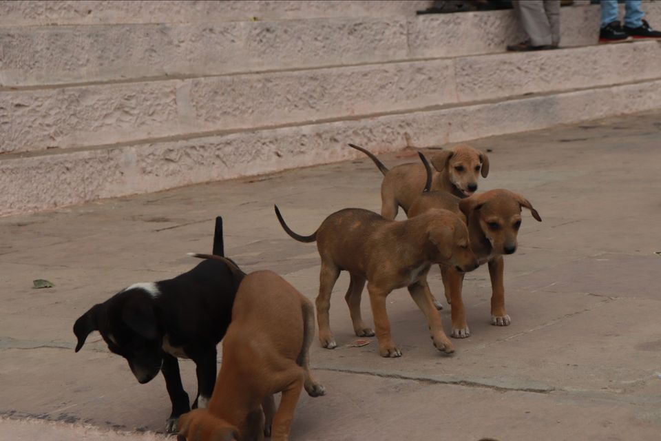 Photo of The ghat of banaras by Fabulous chandrahas