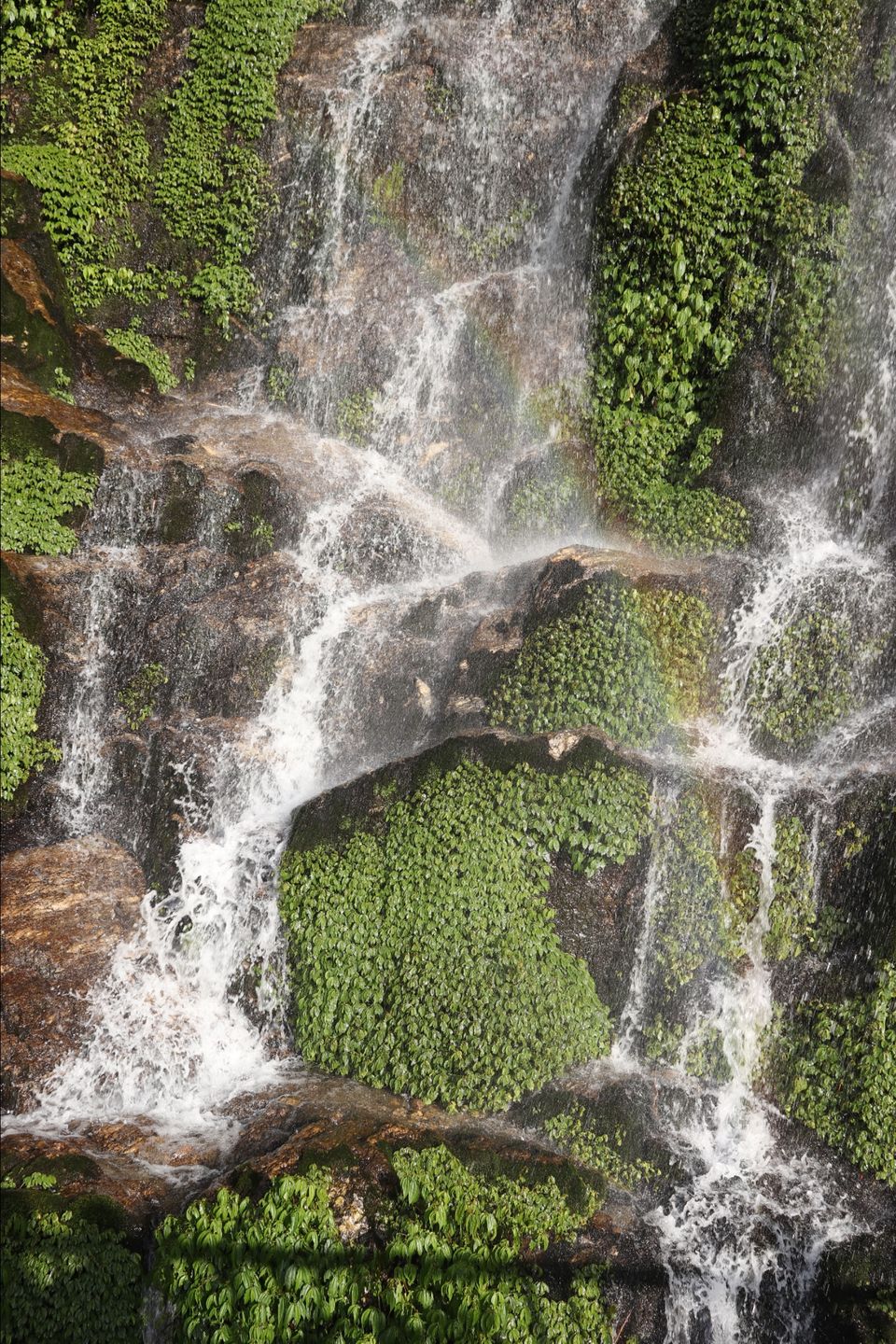 Photo of Gangtok view points by Fabulous chandrahas
