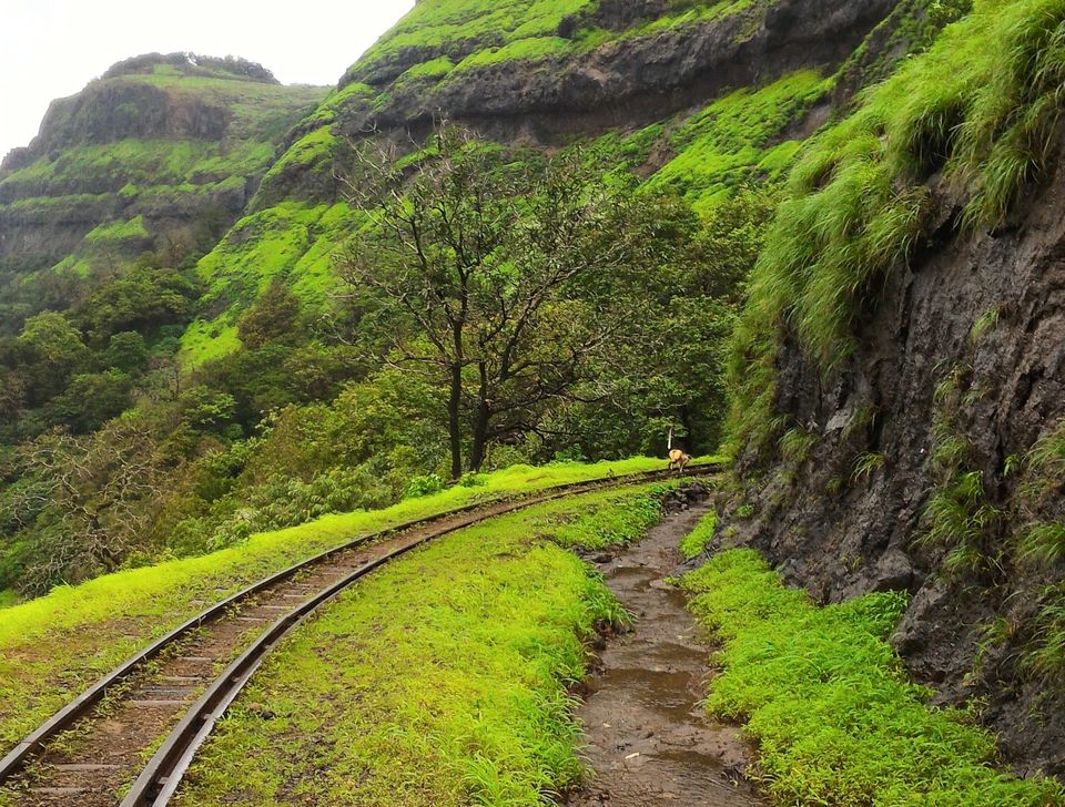 Photo of A Walk To Vikatgad 4/21 by ExploGraphr