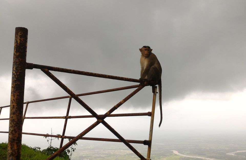 Photo of A Walk To Vikatgad 14/21 by ExploGraphr