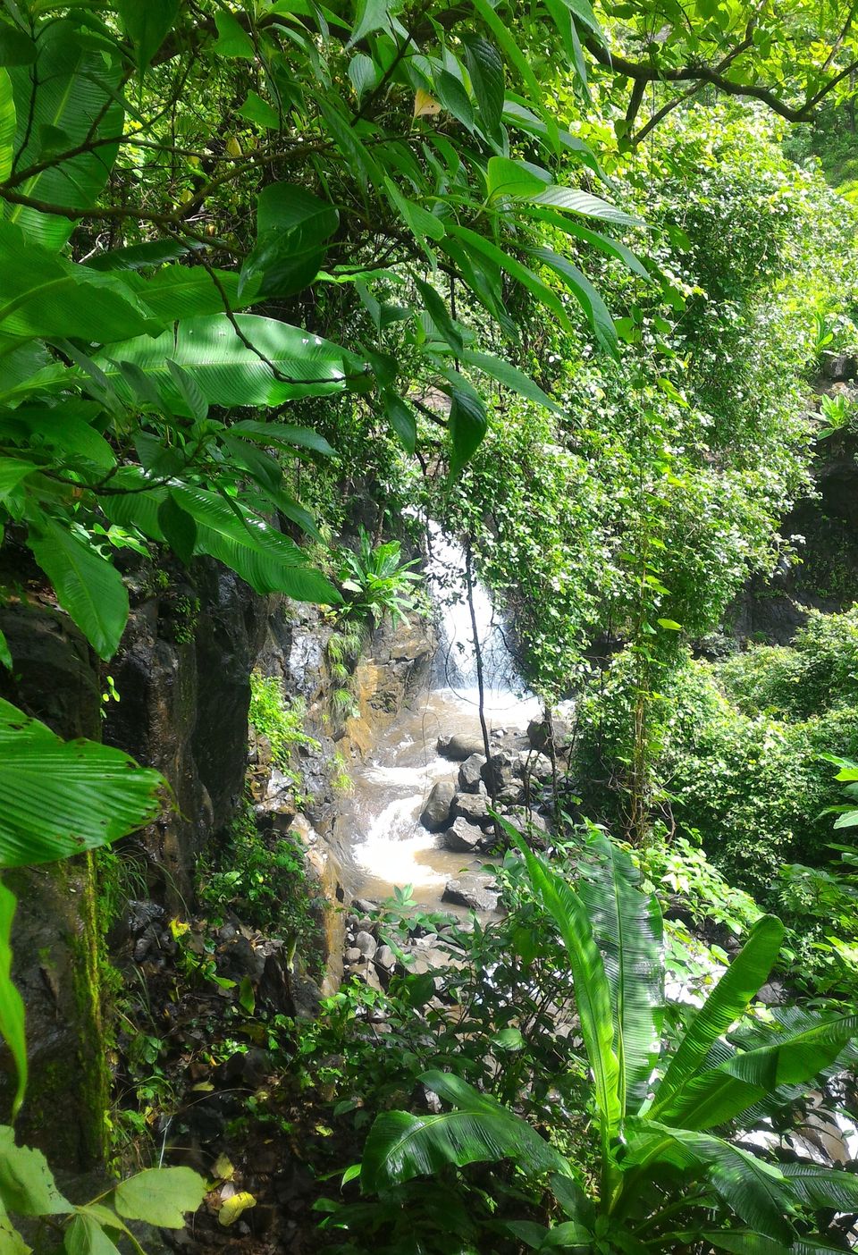 Photo of Monsoon Trail To Mahuli Fort 5/23 by ExploGraphr