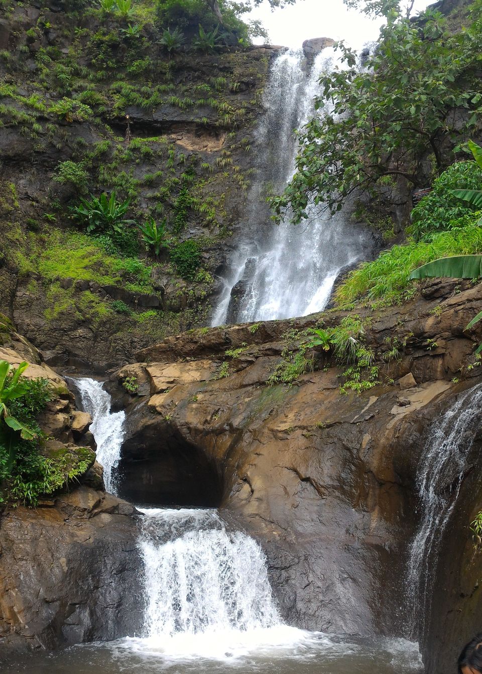 Photo of Monsoon Trail To Mahuli Fort 7/23 by ExploGraphr