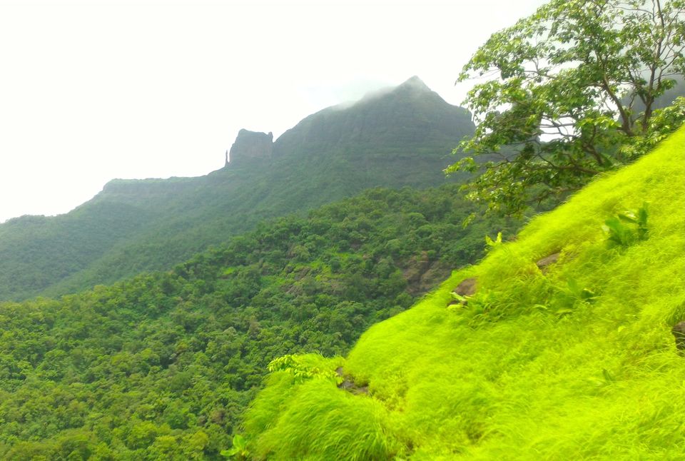 Photo of Monsoon Trail To Mahuli Fort 8/23 by ExploGraphr