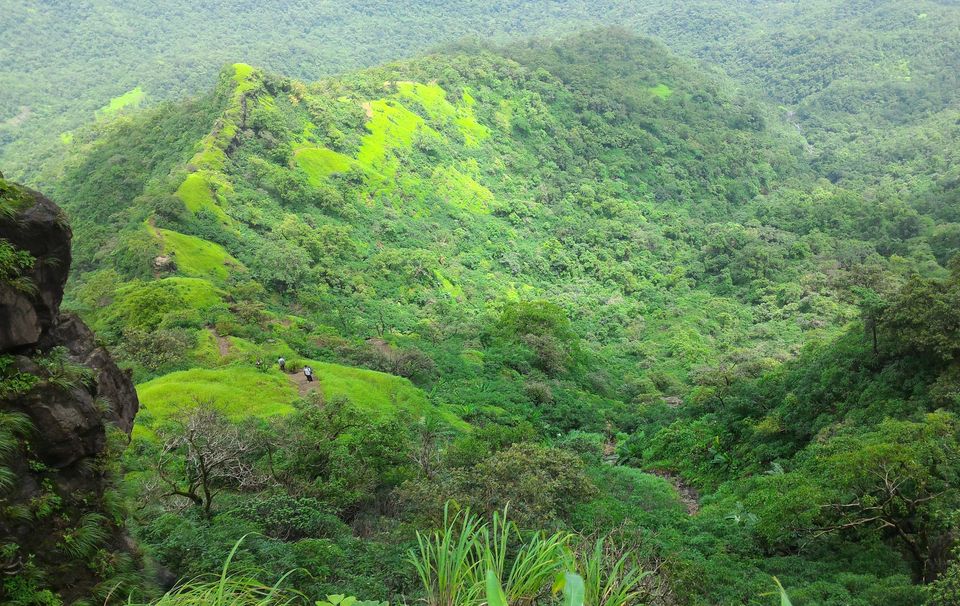 Photo of Monsoon Trail To Mahuli Fort 9/23 by ExploGraphr