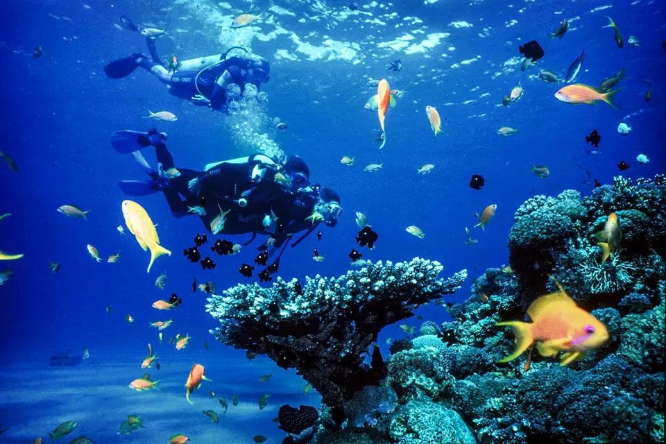 Photo of Maldives by Anuj Tikku