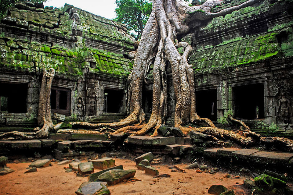 Photo of An Astrologer's Day at Angkor Wat, Siem Reap by Anuj Tikku