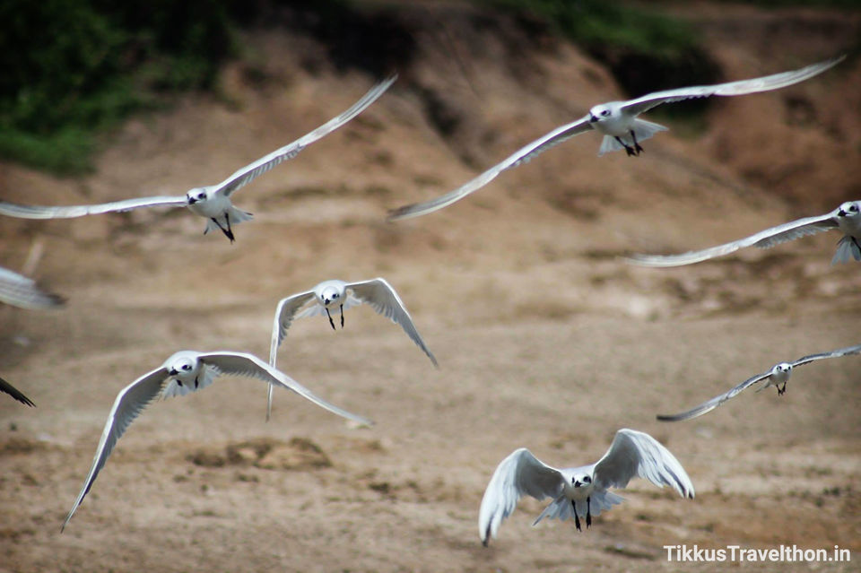 Photo of Lake Edward, Uganda by Anuj Tikku