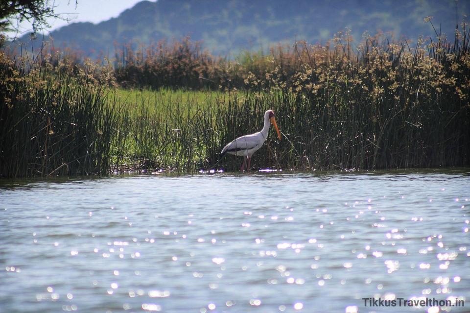 Photo of Lake Edward, Uganda by Anuj Tikku