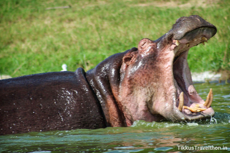 Photo of Lake Edward, Uganda by Anuj Tikku