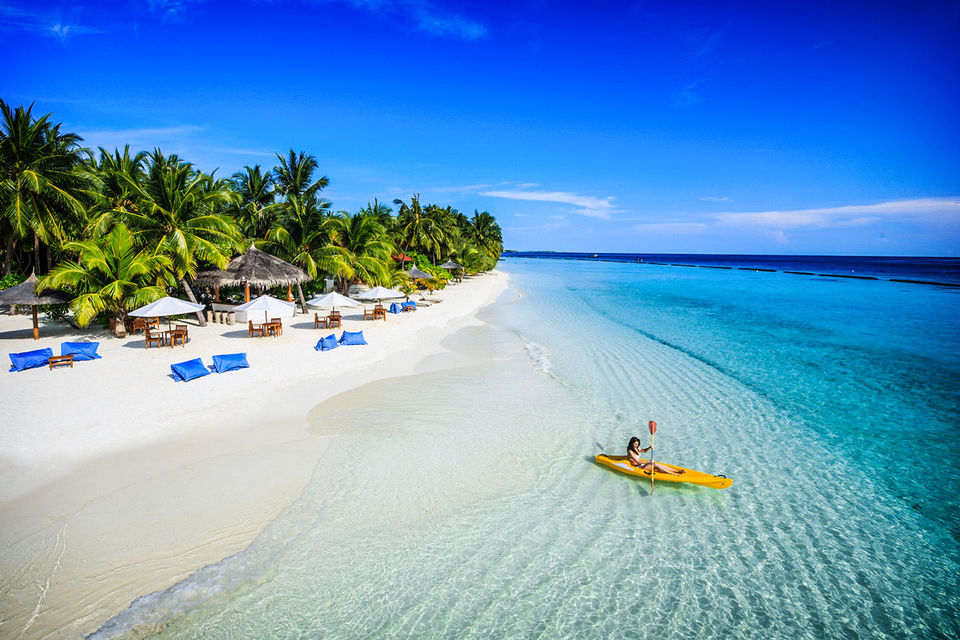 Photo of Honesty in Maldives 1/1 by Anuj Tikku