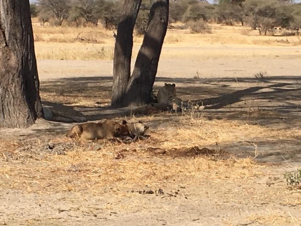 Photo of Arusha, Arusha Region, Tanzania by Anuj Tikku