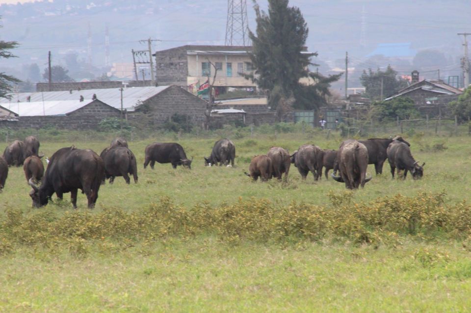 Photo of Onwards to Mount Kenya and Ruminations! by Anuj Tikku