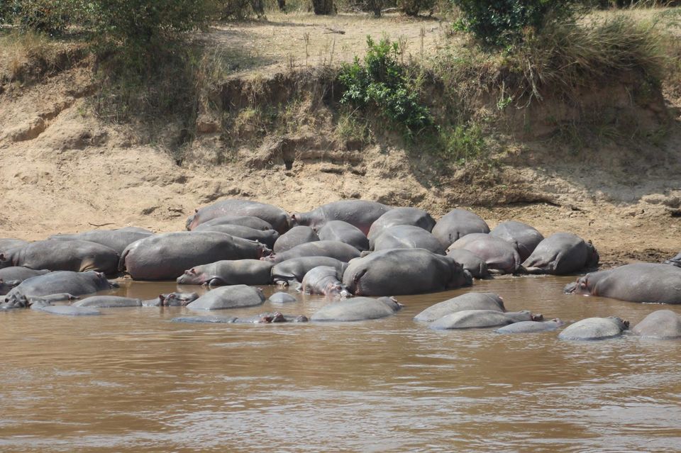 Photo of Onwards to Mount Kenya and Ruminations! by Anuj Tikku