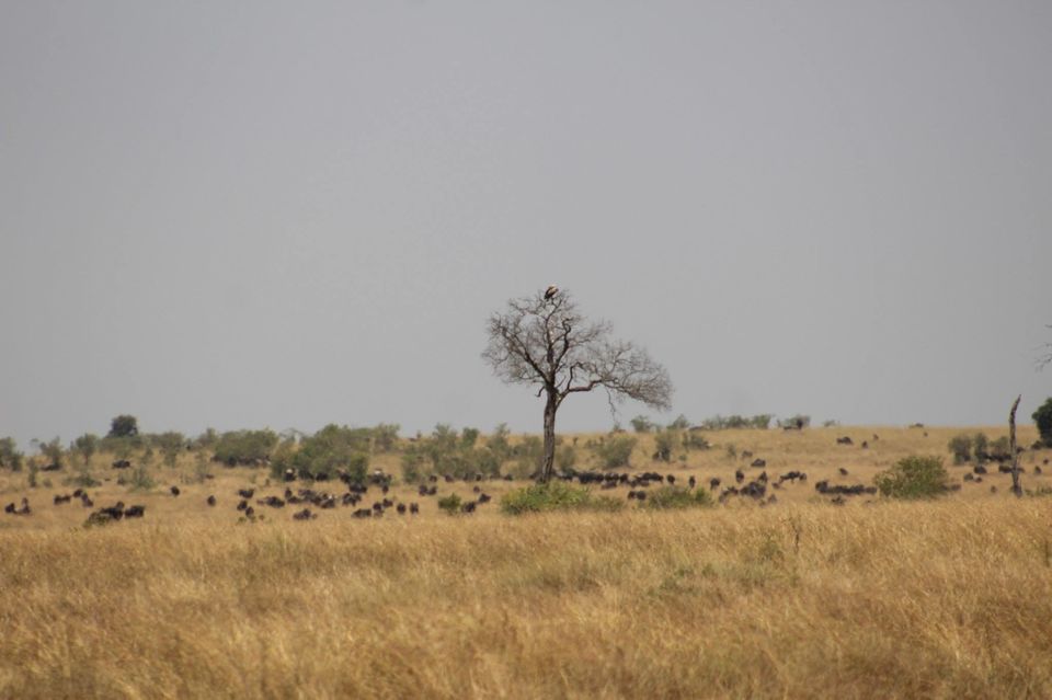 Photo of Onwards to Mount Kenya and Ruminations! by Anuj Tikku