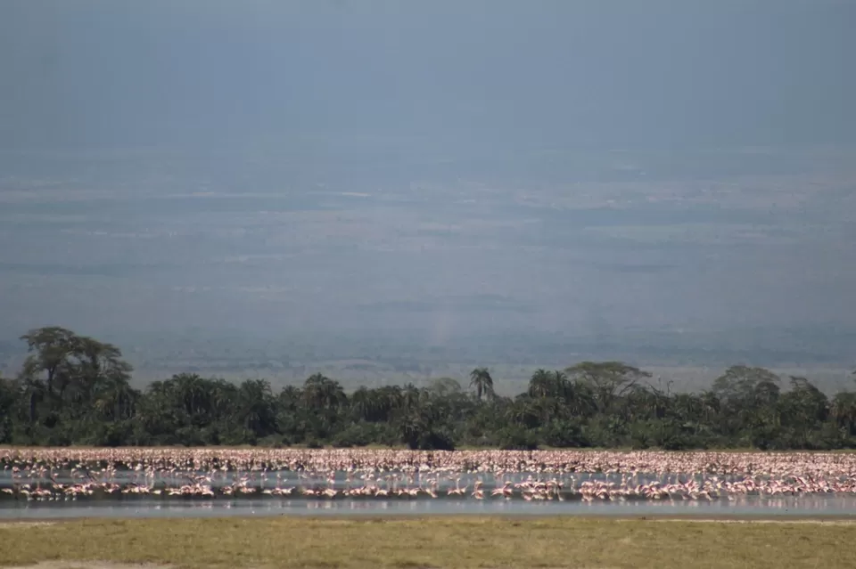 Photo of Amboseli National Park, Kajiado County, Kenya by Anuj Tikku