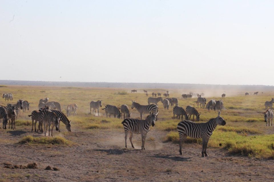Photo of Hakuna Matata from Kenya by Anuj Tikku