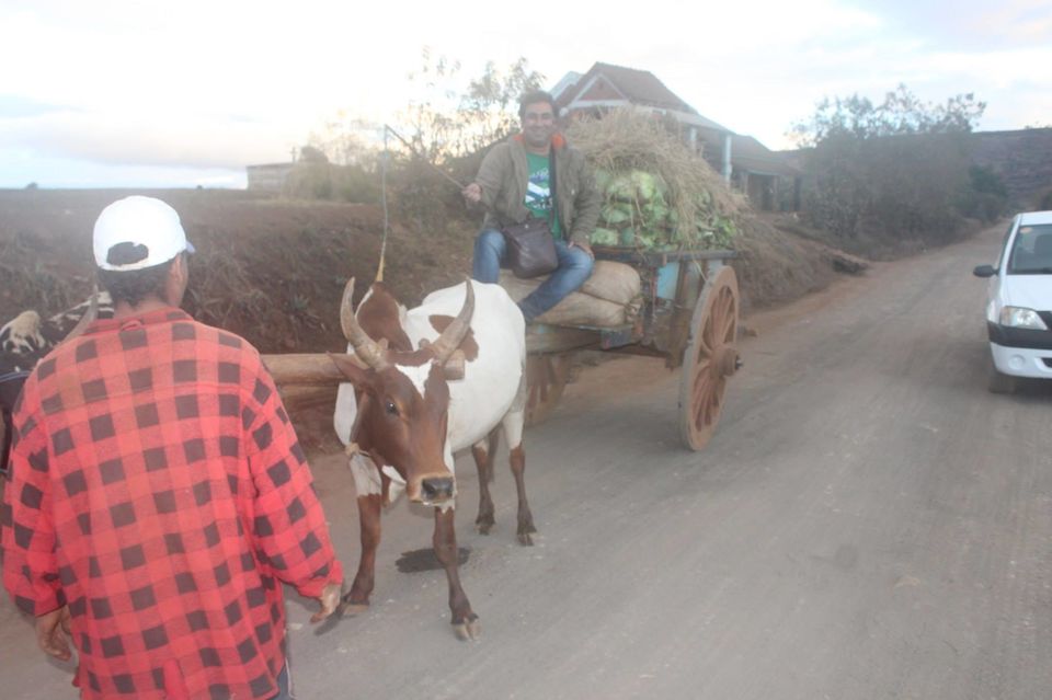 Photo of Ox Carting Across Antribe and a Love Affair with a Lake by Anuj Tikku