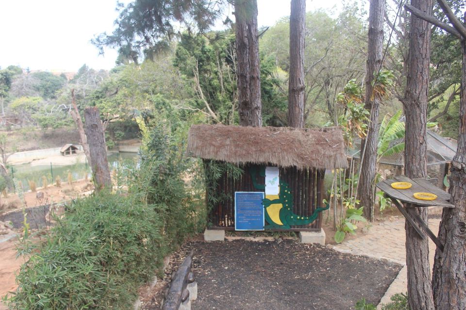 Photo of Crocodile Dandy at Antananarivo by Anuj Tikku