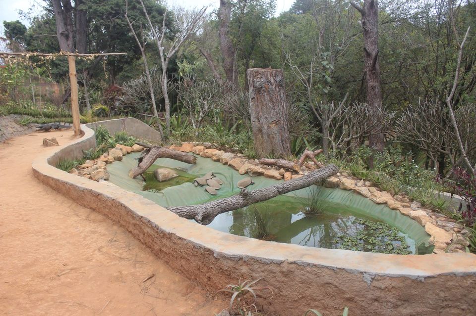Photo of Crocodile Dandy at Antananarivo by Anuj Tikku