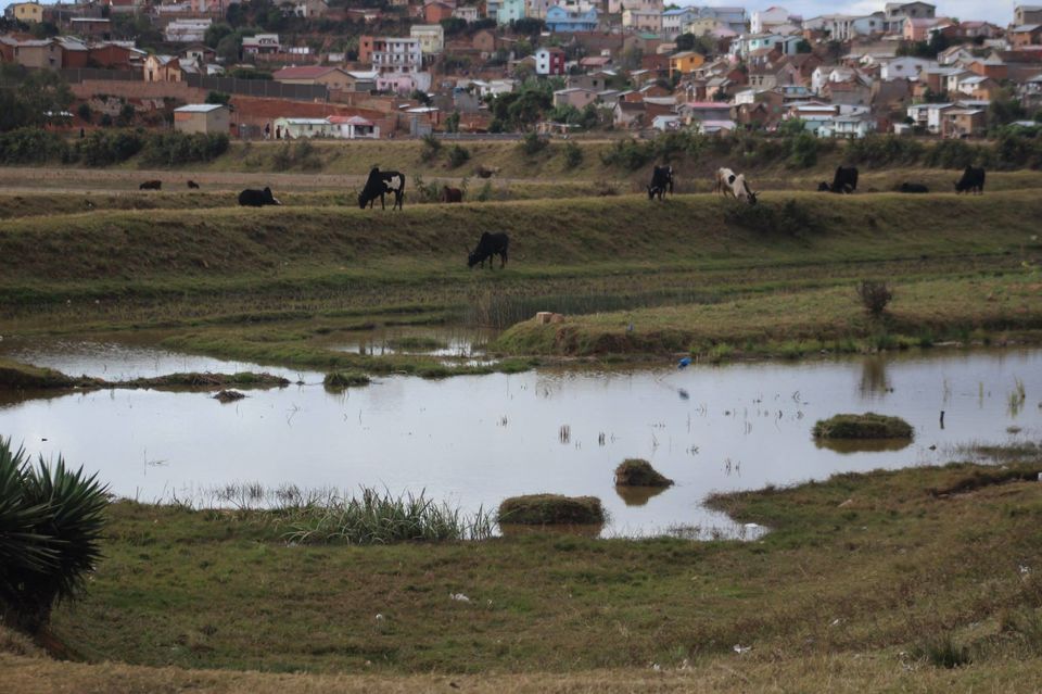 Photo of Out of Africa - An Ode to a Land So Different 5/32 by Anuj Tikku