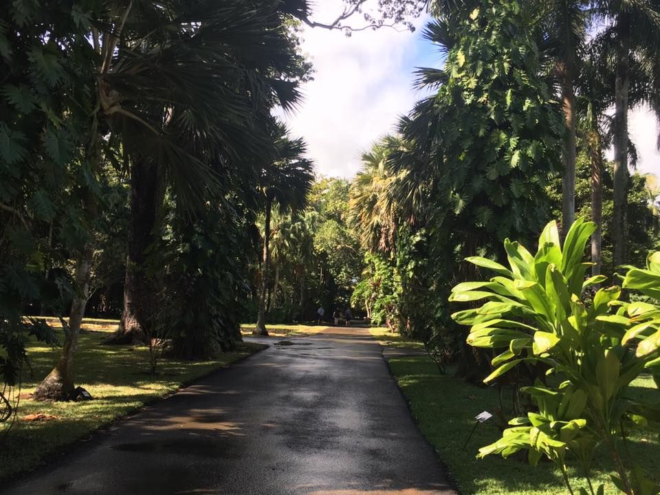 Photo of Pamplemousses District, Mauritius by Anuj Tikku