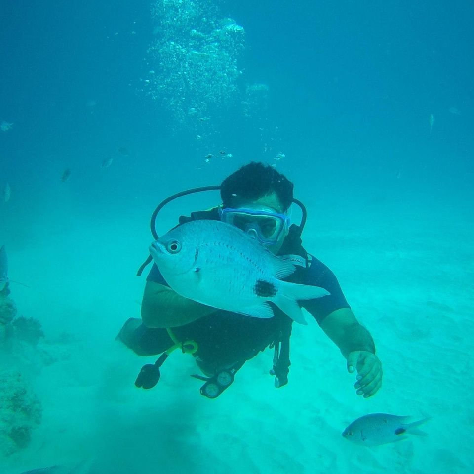 Photo of Diving for Shells, Chasing Rainbows and a Mountain with a Head! by Anuj Tikku