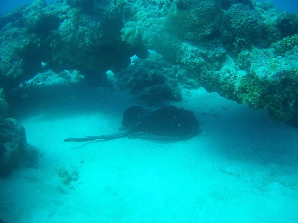 Photo of Diving for Shells, Chasing Rainbows and a Mountain with a Head! by Anuj Tikku