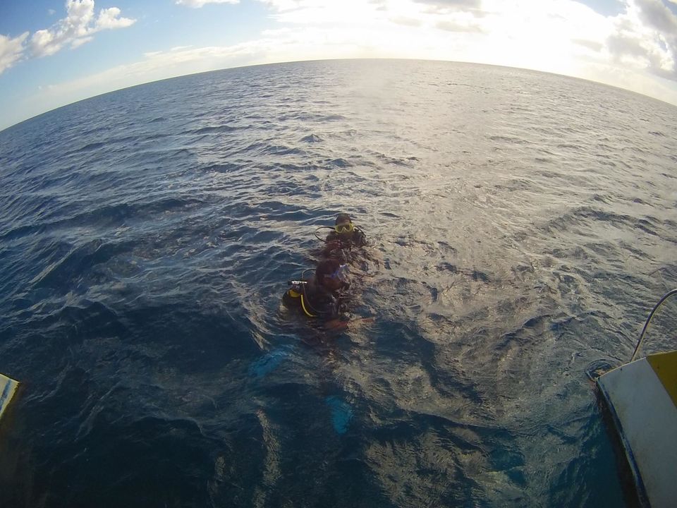 Photo of Diving for Shells, Chasing Rainbows and a Mountain with a Head! by Anuj Tikku