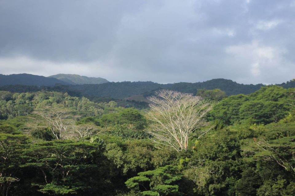 Photo of Mauritius by Anuj Tikku