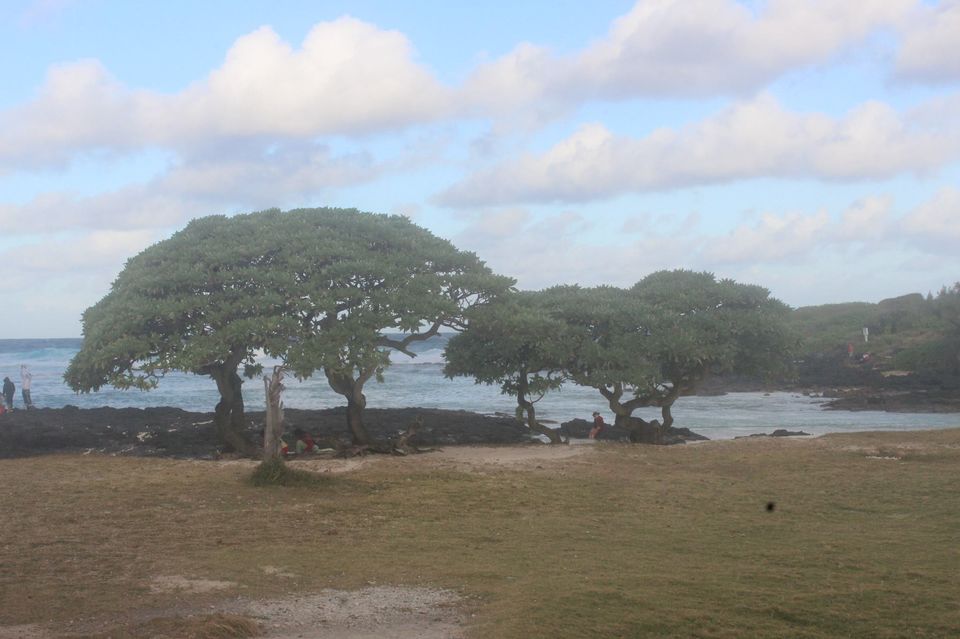 Photo of Palais de Barbizon, Chamarel, Mauritius by Anuj Tikku