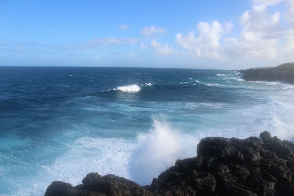 Photo of Mauritian Food and the Swim in the Alexandra Fall by Anuj Tikku