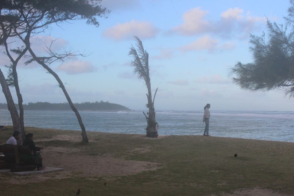 Photo of Mauritian Food and the Swim in the Alexandra Fall by Anuj Tikku