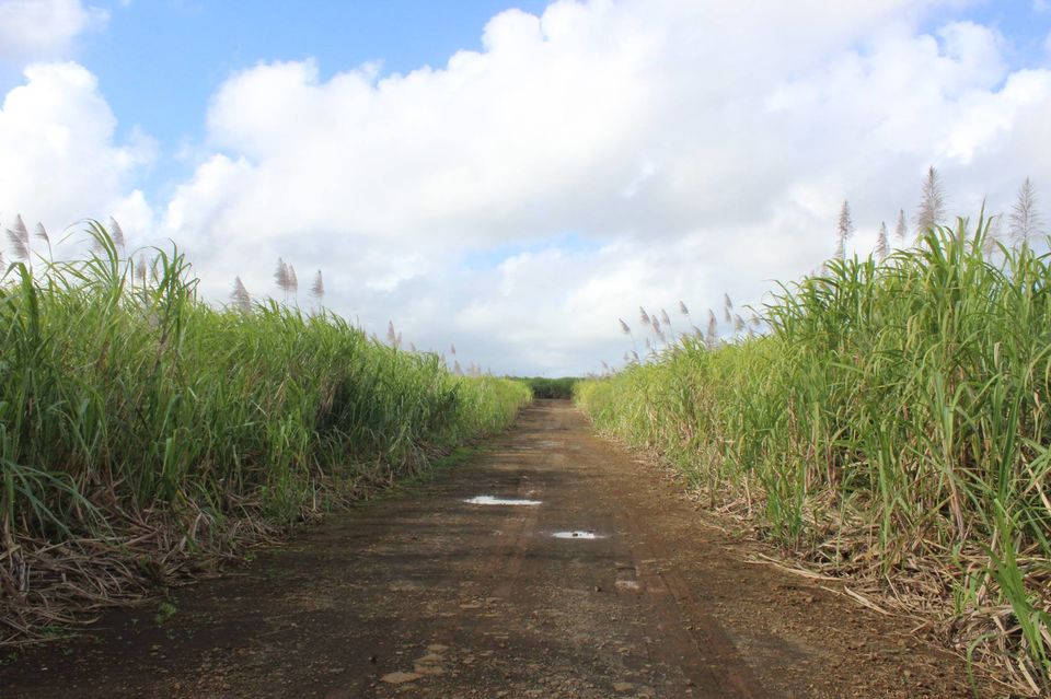 Photo of African Island Sojourn by Anuj Tikku