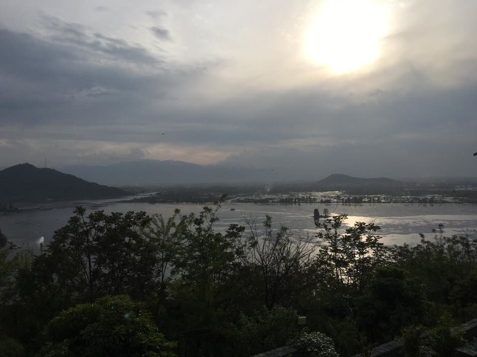 Photo of Raj Bagh, Srinagar by Anuj Tikku