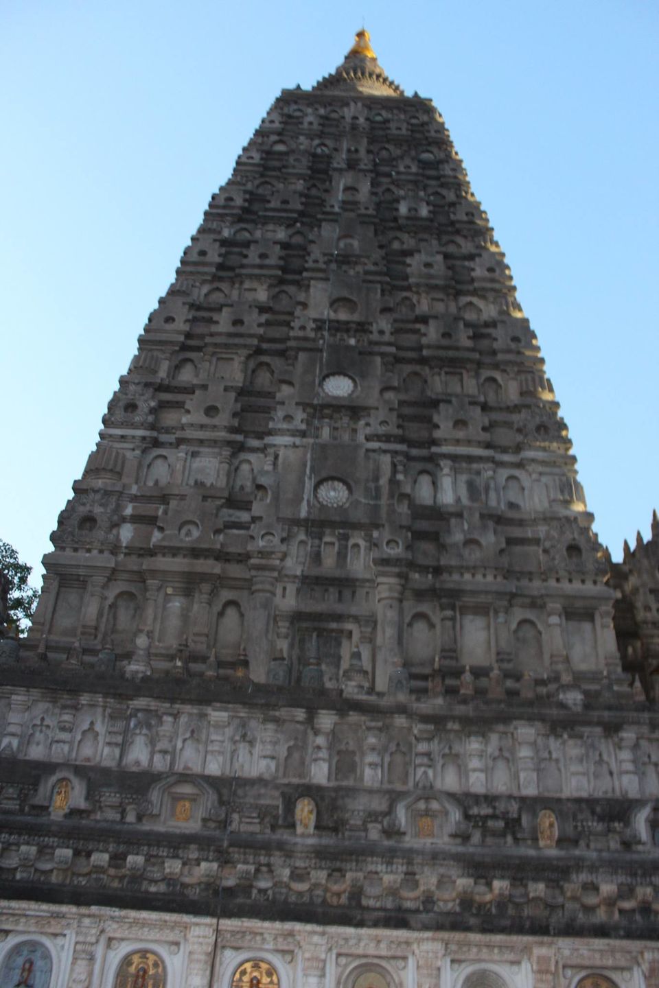 Photo of Under The Bodhi Tree by Anuj Tikku