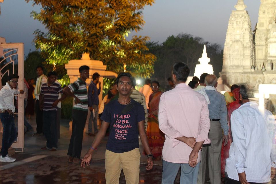 Photo of Under The Bodhi Tree by Anuj Tikku