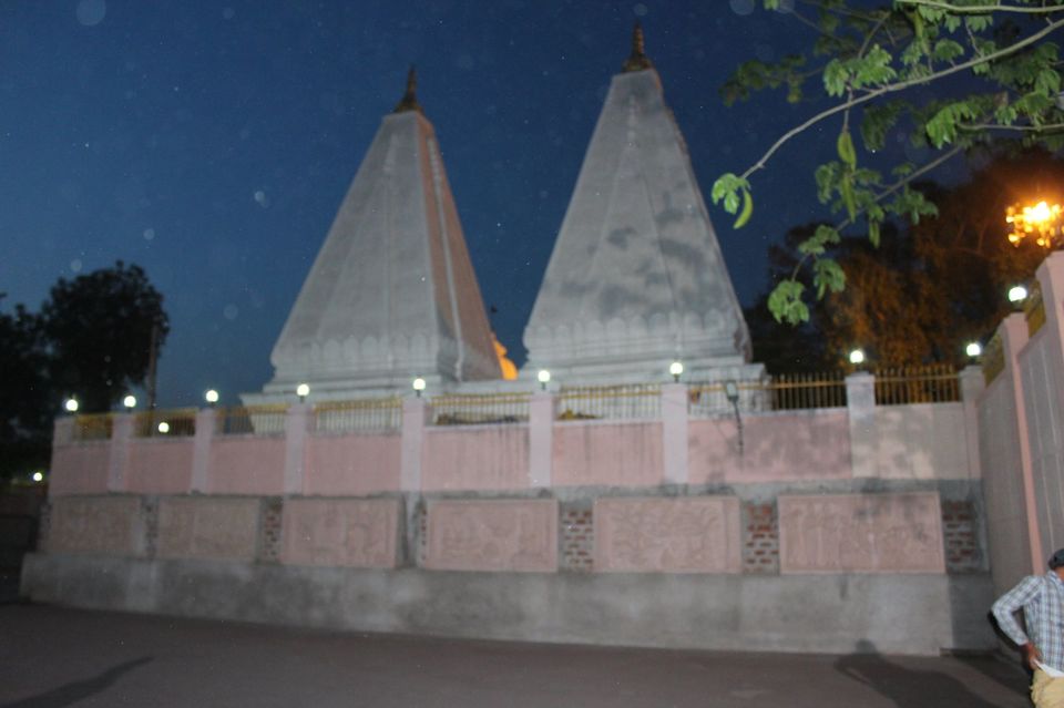 Photo of Under The Bodhi Tree by Anuj Tikku