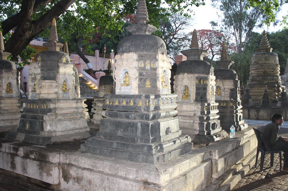 Photo of Under The Bodhi Tree by Anuj Tikku