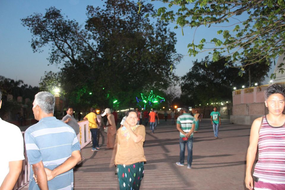 Photo of Under The Bodhi Tree by Anuj Tikku